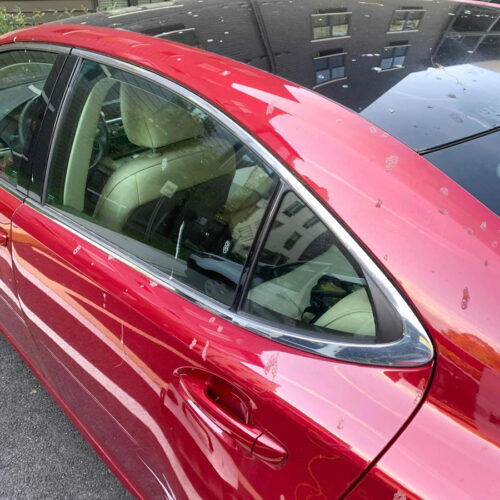 Tree sap on Tesla